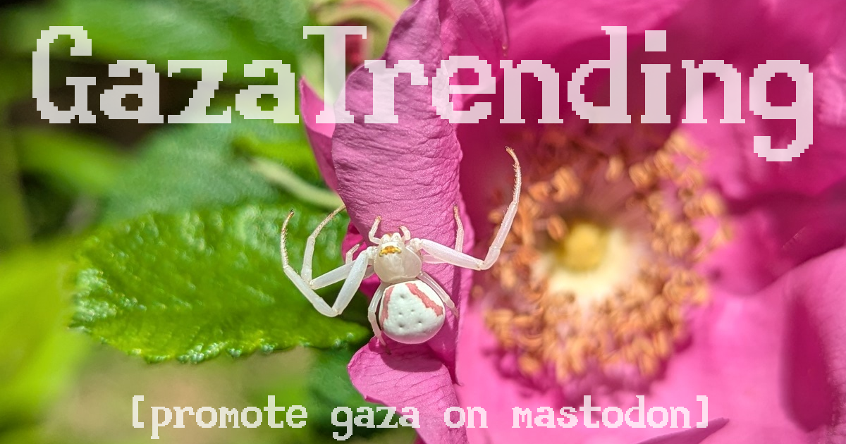 Reads: GazaTrending(above); promote gaza on mastodon(below).
